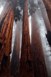 Update FundShare Sequoia Familie Aandelen Fonds